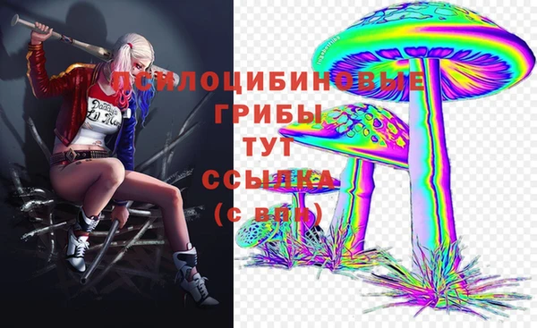 меф Мурманск