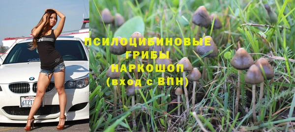 твердый Кострома