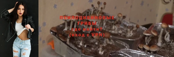 твердый Кострома