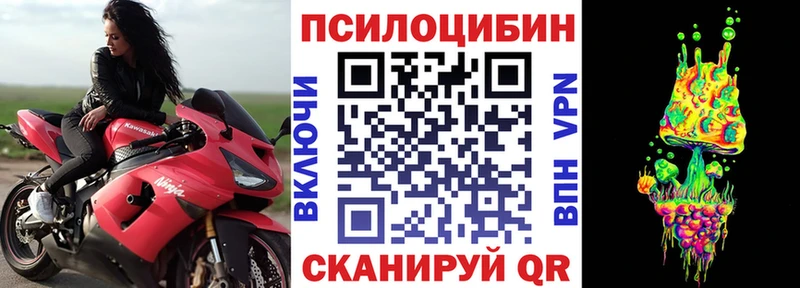 блэк спрут ССЫЛКА  Константиновск  Галлюциногенные грибы ЛСД  где купить наркоту 